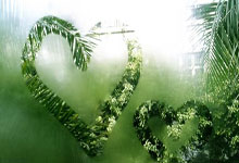  狂野猩狂雷金刚拳 