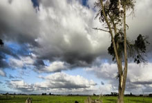 Scout连续三场比赛得分超过回归赛场,公牛挑战极限!的简单介绍