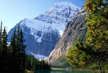 Scout连续三场比赛得分超过回归赛场，公牛挑战极限！的简单介绍